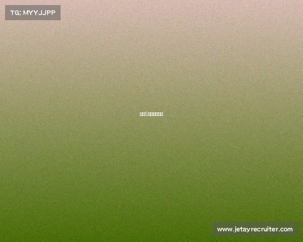 战地5有团队竞技吗